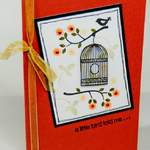 aa-birdcage-blossom-(4)